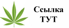 Купить наркотики в Трубчевске